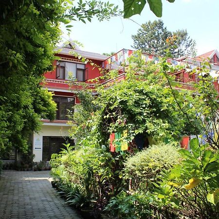 ROKPA Guest House Katmandou Extérieur photo