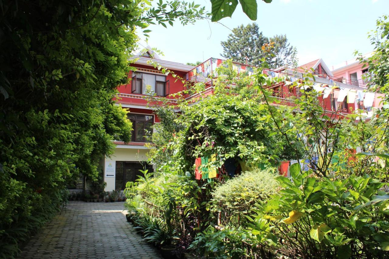 ROKPA Guest House Katmandou Extérieur photo